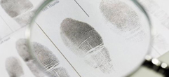 Investigators