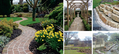 Garden & Landscaping